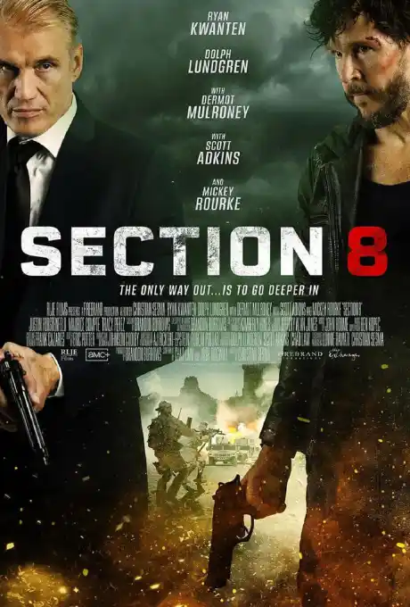 section-8.webp